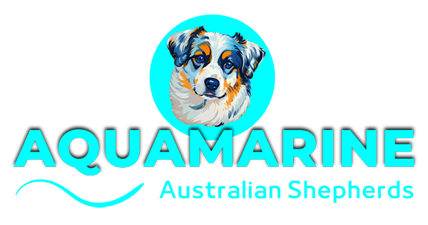 Aquamarine Aussies Logo